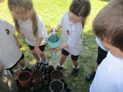 Planting - image 10