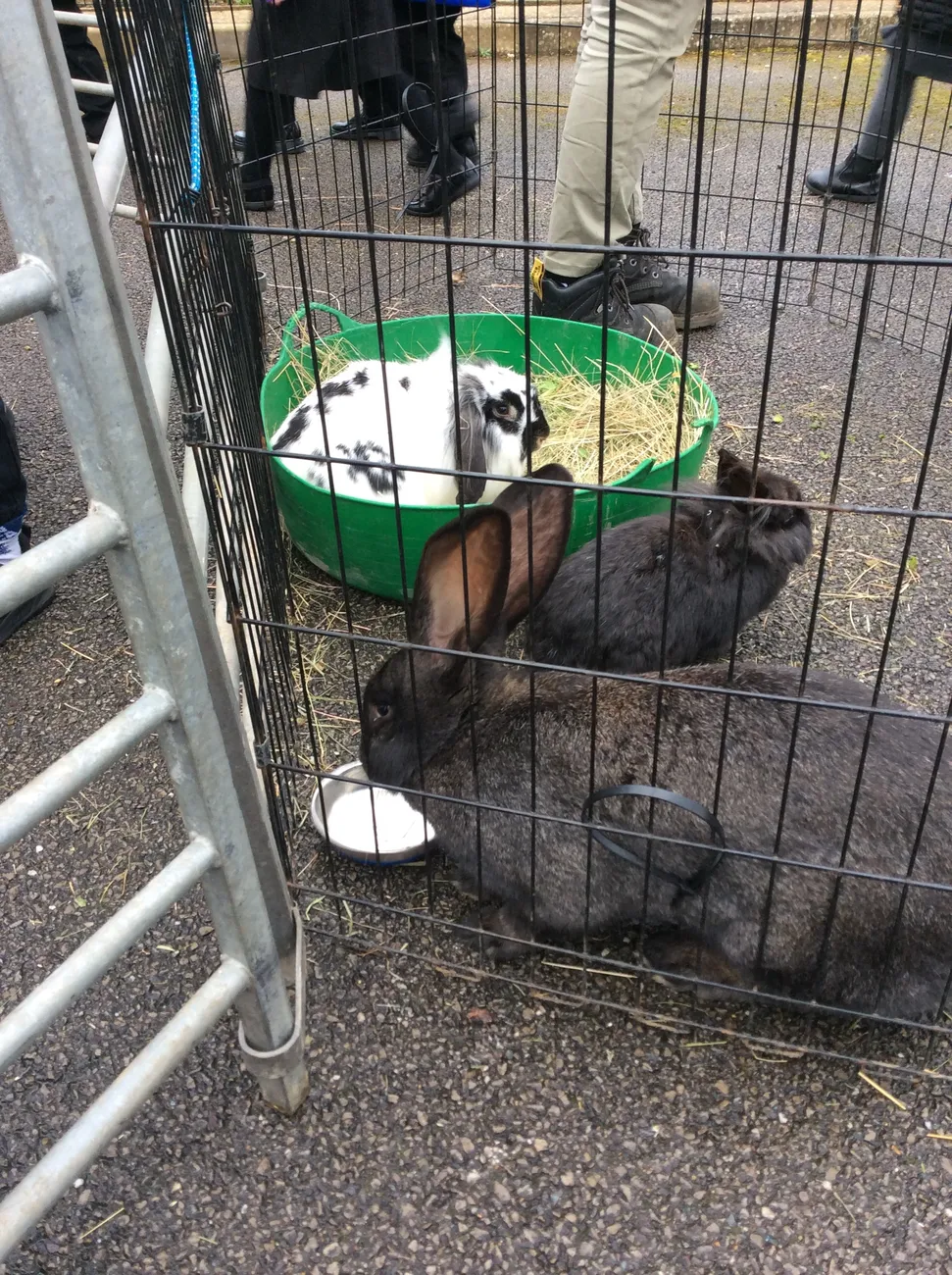 Gallery - created at 2023-03-03 16:33:51 - image 13