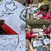 Forest School 59 - image 1 Forest School 59 - image 1