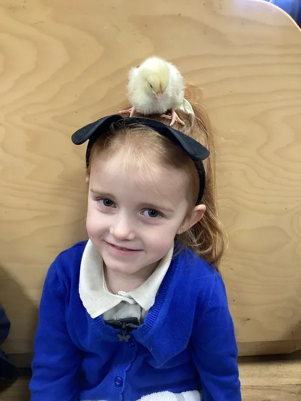 Gallery - created at 2024-07-04 16:12:30 - image 20