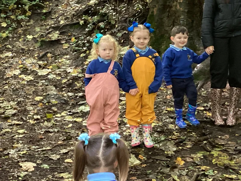 Nursery Fun in the Woods - image 6 Nursery Fun in the Woods - image 6