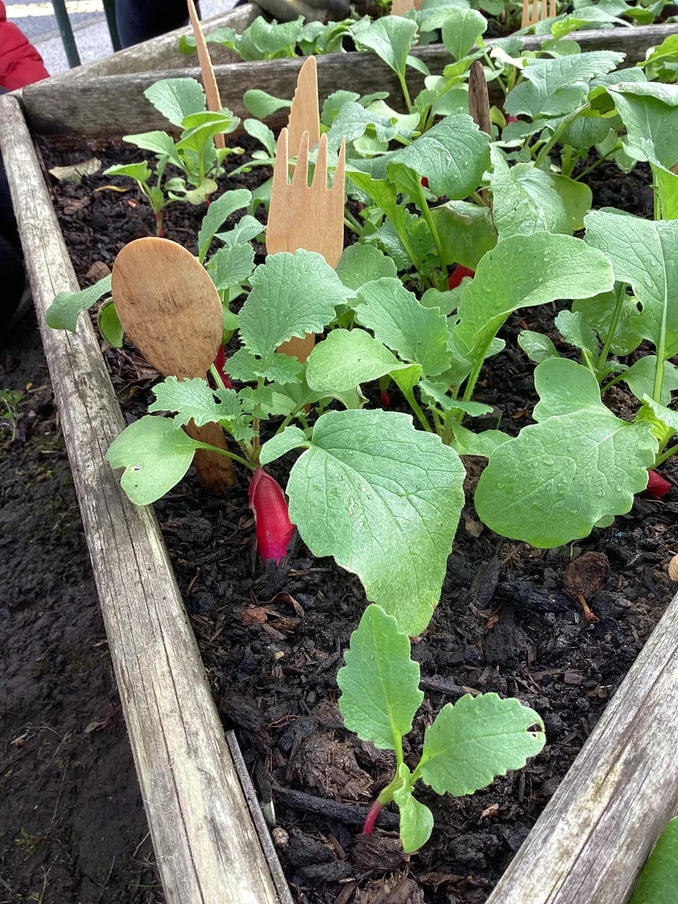 Gallery - created at 2023-09-07 16:46:06 - image 17 Gallery - created at 2023-09-07 16:46:06 - image 17