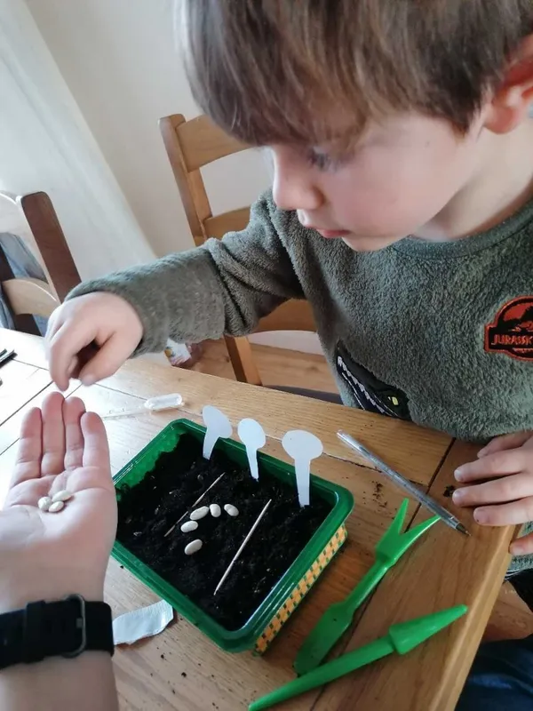 Gallery - created at 2021-03-29 16:05:10 - image 3