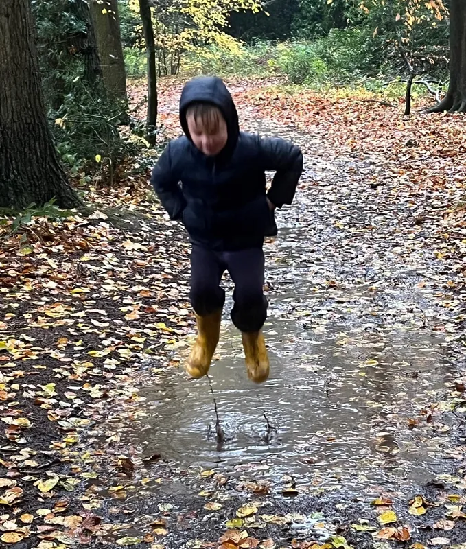 Gallery - created at 2022-11-21 16:44:48 - image 8