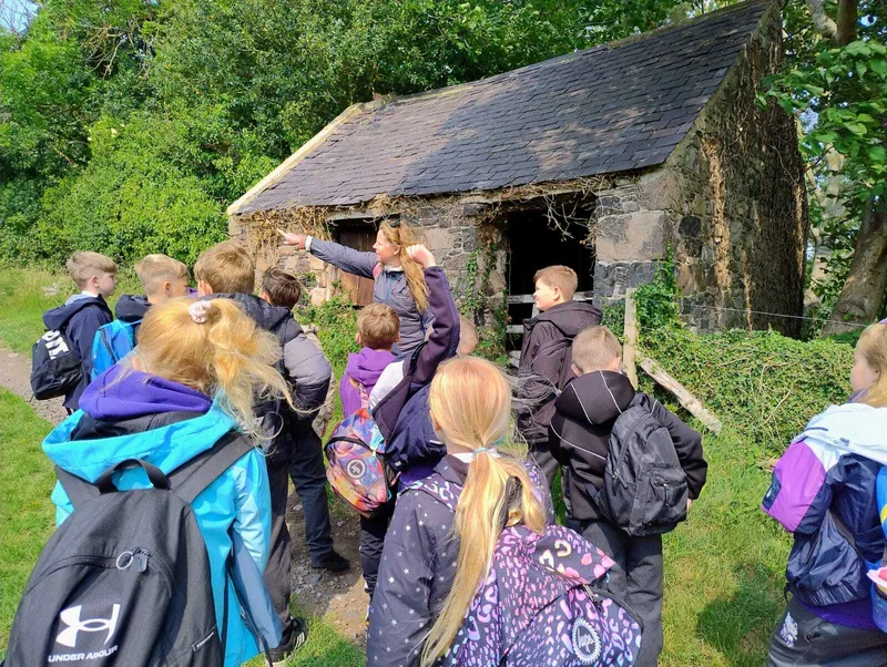 Gallery - created at 2025-06-06 10:37:45 - image 11 Gallery - created at 2025-06-06 10:37:45 - image 11