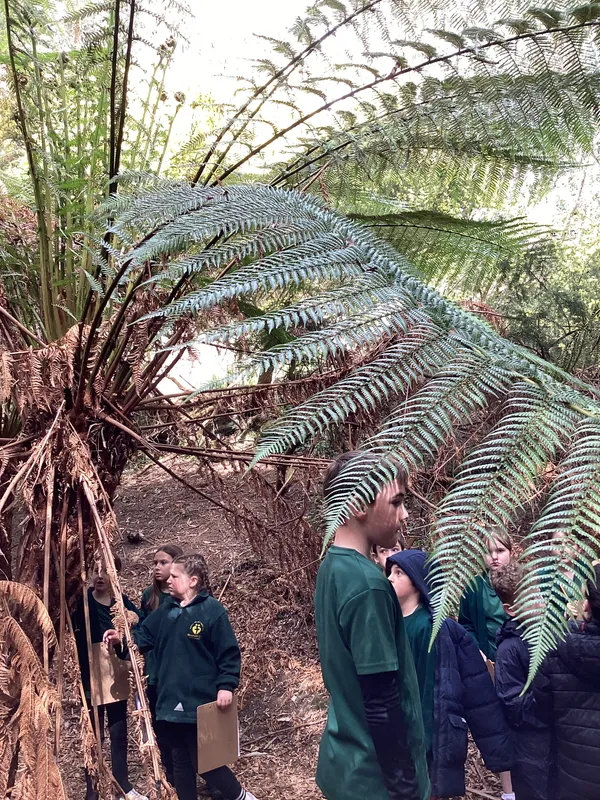 LKS2 Botanical Gardens Trip - image 19
