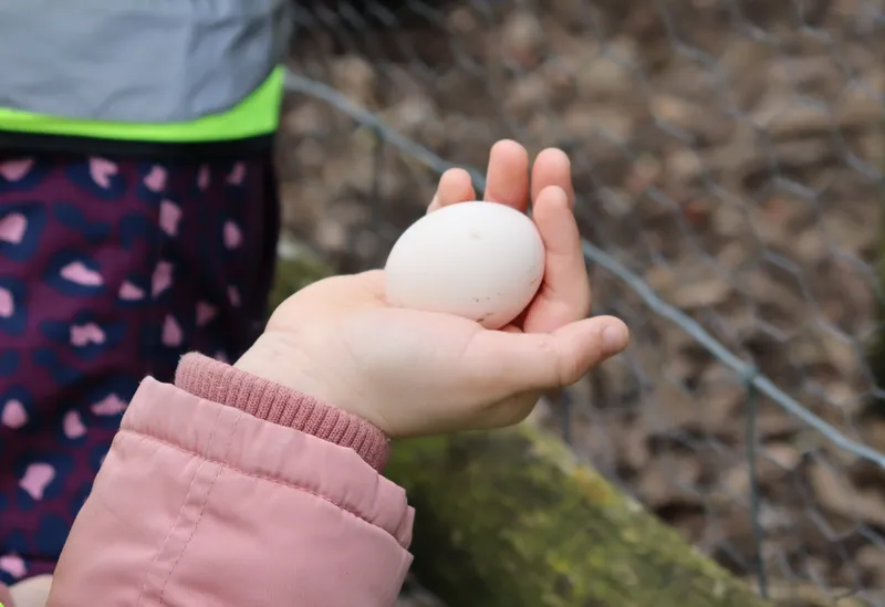 Farm march '26 - image 3 Farm march '26 - image 3