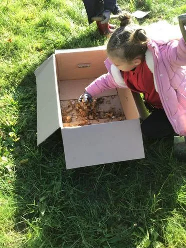 Gallery - created at 2024-12-05 13:44:18 - image 7 Gallery - created at 2024-12-05 13:44:18 - image 7