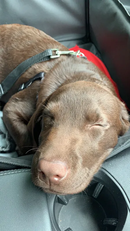 Gallery - created at 2021-06-30 13:57:57 - image 22