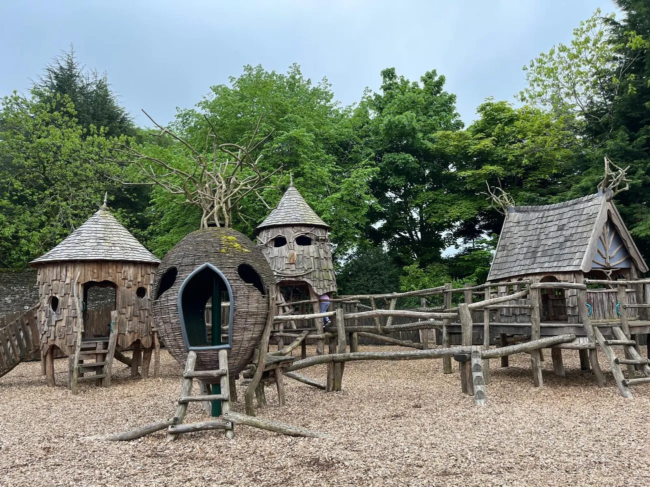 Gallery - created at 2024-06-06 15:19:10 - image 30