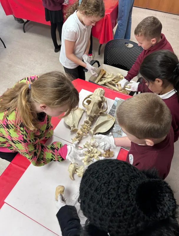 history gallery - image 9 history gallery - image 9