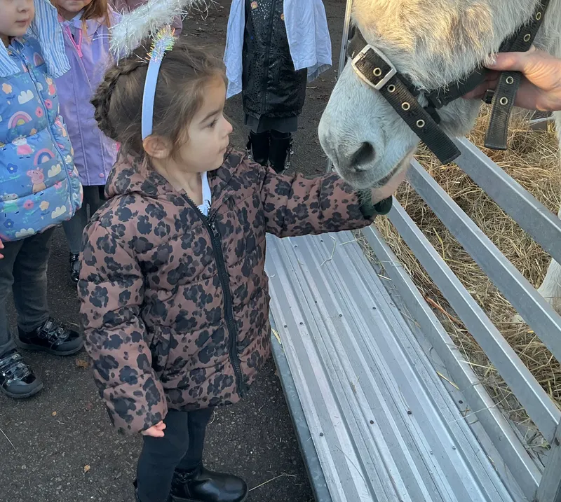 Stella farm on wheels Part 1 - image 51