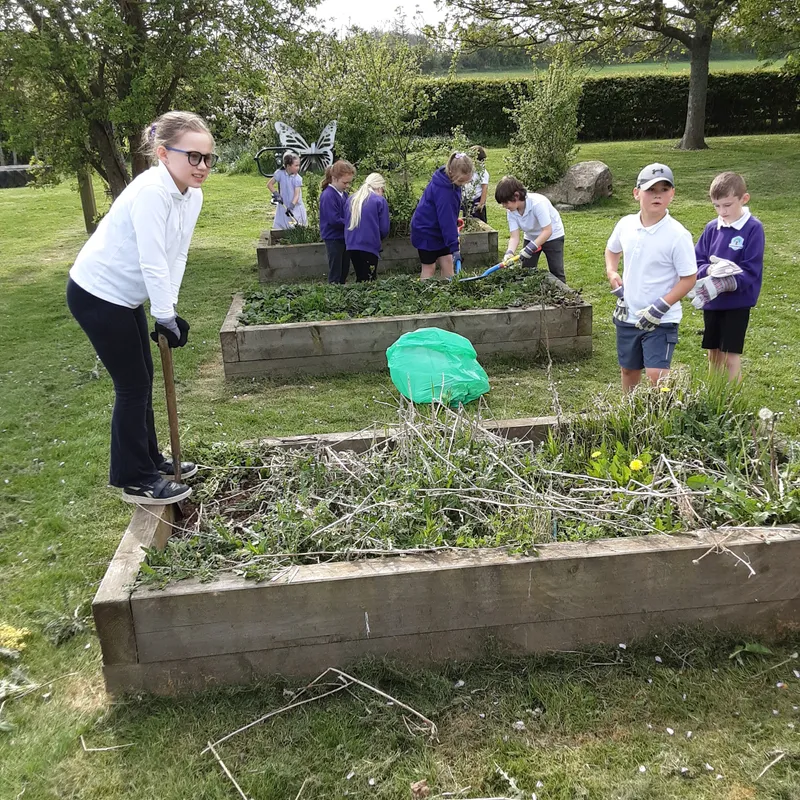 Gallery - created at 2025-06-23 10:33:29 - image 9 Gallery - created at 2025-06-23 10:33:29 - image 9