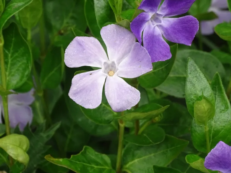 Gallery - created at 2019-05-10 15:17:23 - image 18 Gallery - created at 2019-05-10 15:17:23 - image 18