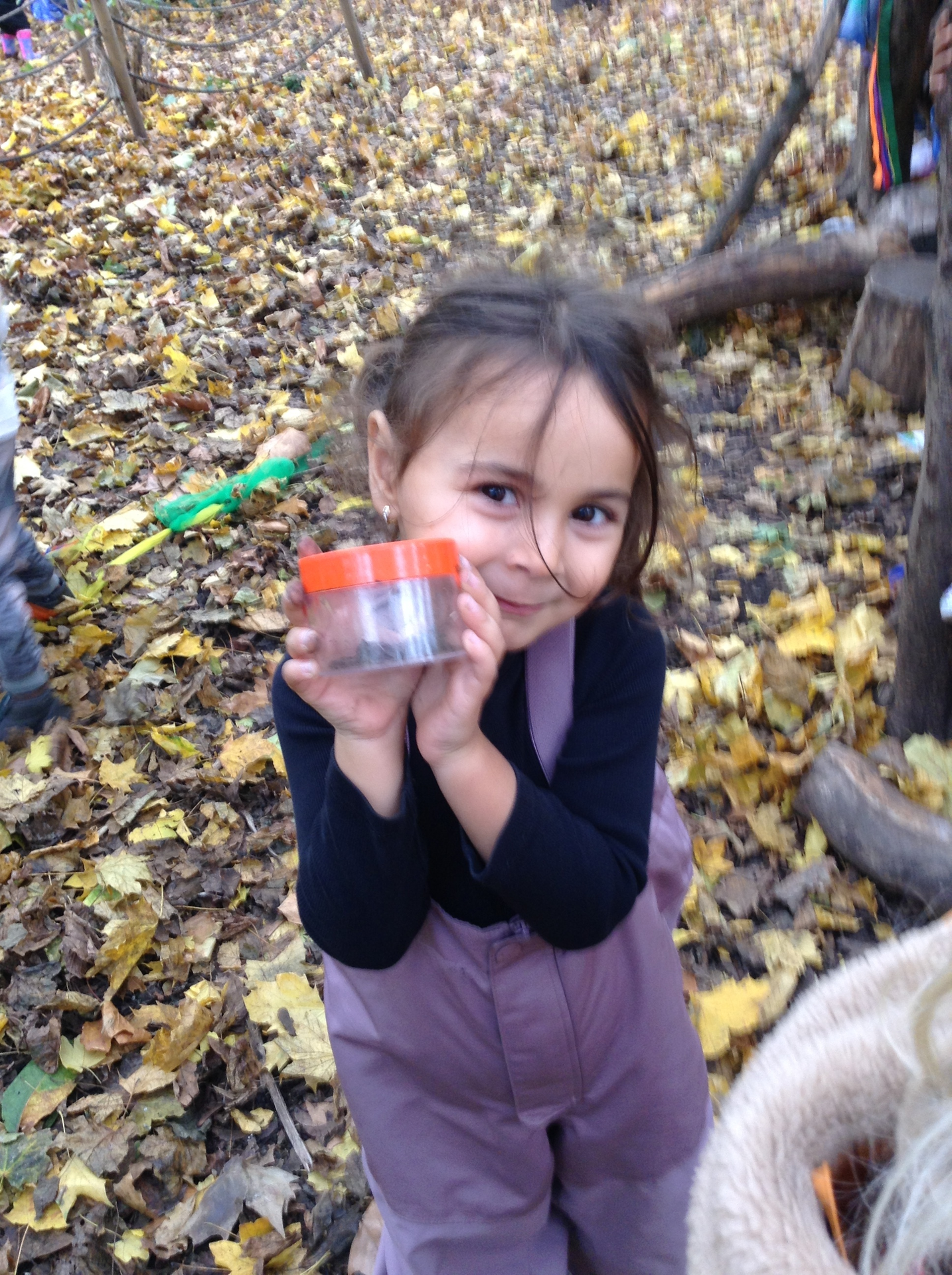 Reception children had their very first Forest School trip!