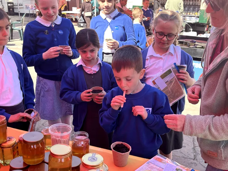 Eco Fair - image 9