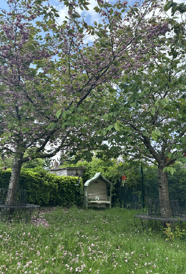 What are parents saying?