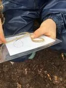 Forest School 137 - image 3 Forest School 137 - image 3