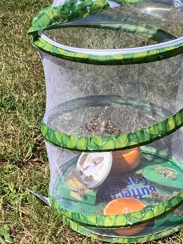 Gallery - created at 2022-07-12 13:51:56 - image 6 Gallery - created at 2022-07-12 13:51:56 - image 6