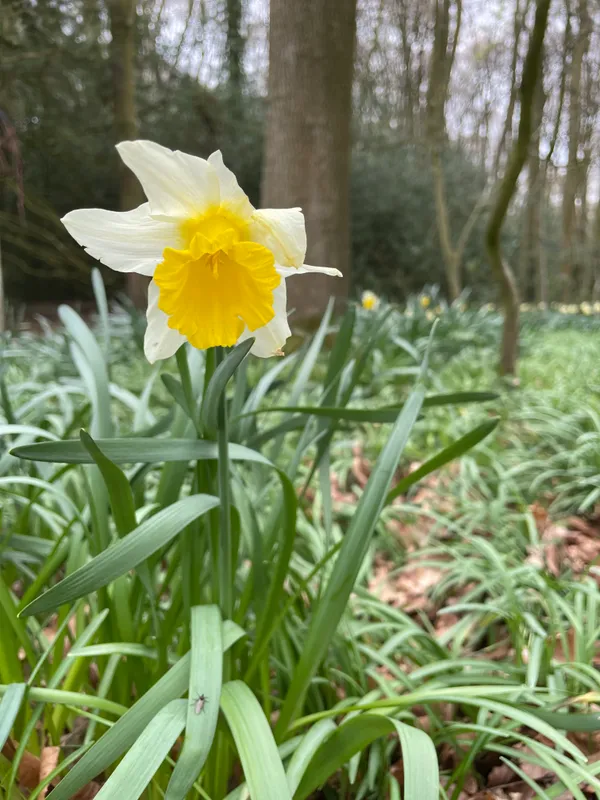 Gallery - created at 2023-04-22 12:49:31 - image 3 Gallery - created at 2023-04-22 12:49:31 - image 3