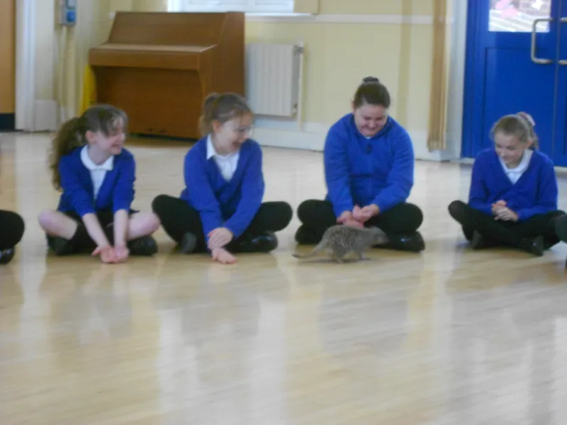 Y6 Reptile Rendezvous - image 86