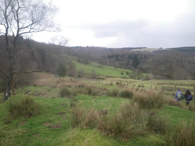 Gallery - image 10