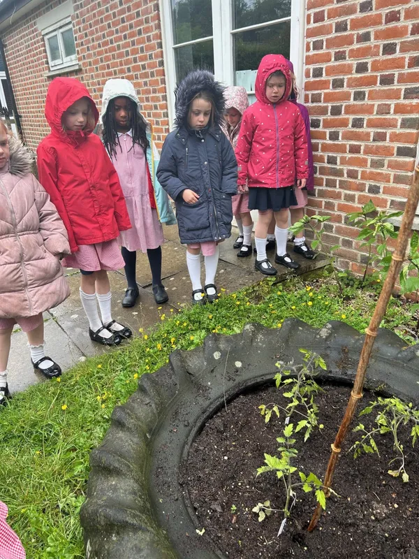 Gallery - created at 2025-06-06 11:32:24 - image 1