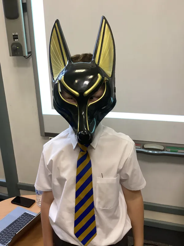 Gallery - image 13