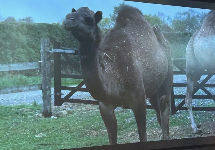 Oak Class Blog 2025/2026 - image 19