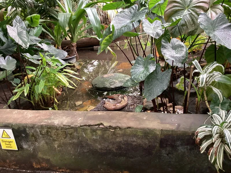 Gallery - created at 2025-03-14 10:11:21 - image 30 Gallery - created at 2025-03-14 10:11:21 - image 30