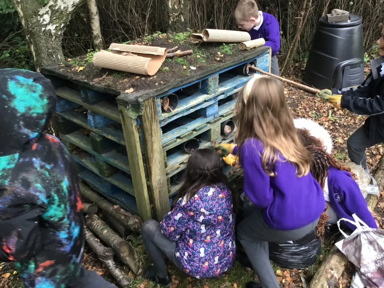 Gallery - created at 2023-09-07 16:46:06 - image 7 Gallery - created at 2023-09-07 16:46:06 - image 7