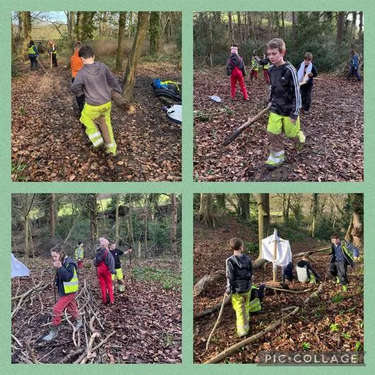 Forest School 18 - image 3 Forest School 18 - image 3