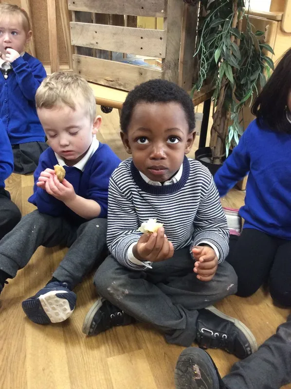 Gallery - created at 2024-02-13 11:21:10 - image 3 Gallery - created at 2024-02-13 11:21:10 - image 3