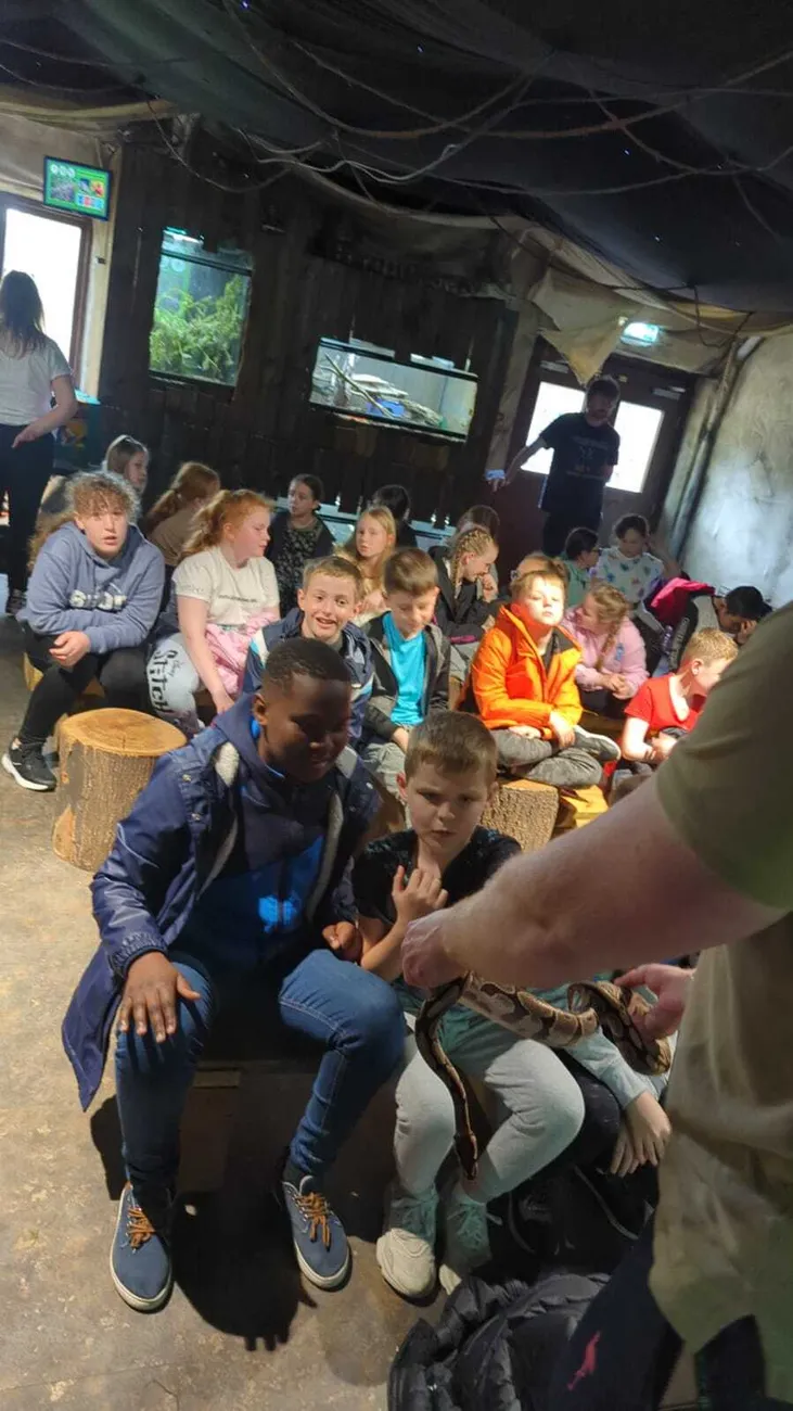 Gallery - created at 2024-06-06 15:03:55 - image 53