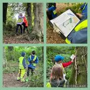 Forest School 34 - image 4 Forest School 34 - image 4