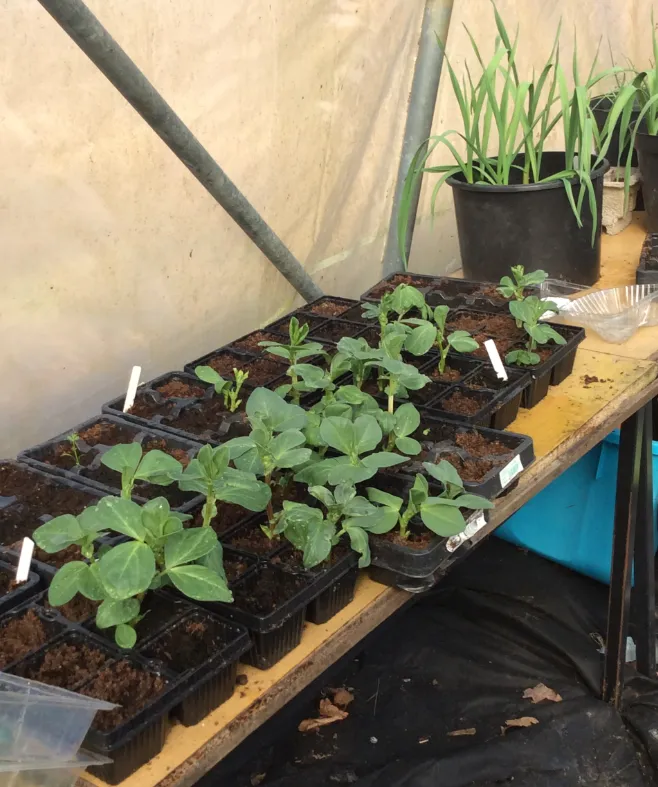 Gallery - created at 2022-12-06 11:29:49 - image 9