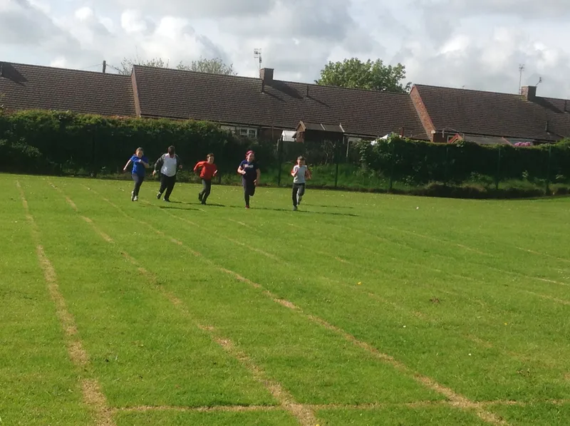 Gallery - created at 2021-06-11 14:15:06 - image 3