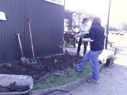 Gallery - created at 2018-01-17 17:01:31 - image 12