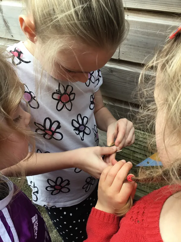 Gallery - created at 2024-03-01 11:02:20 - image 12 Gallery - created at 2024-03-01 11:02:20 - image 12