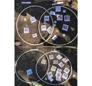 Forest School 73 - image 1 Forest School 73 - image 1