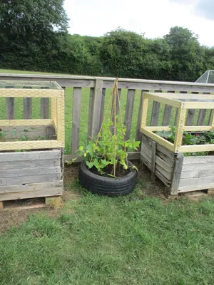 Planters - image 1