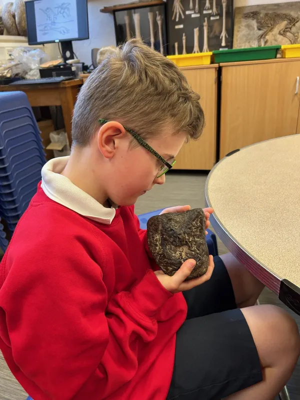 Gallery - created at 2025-05-15 20:19:39 - image 34