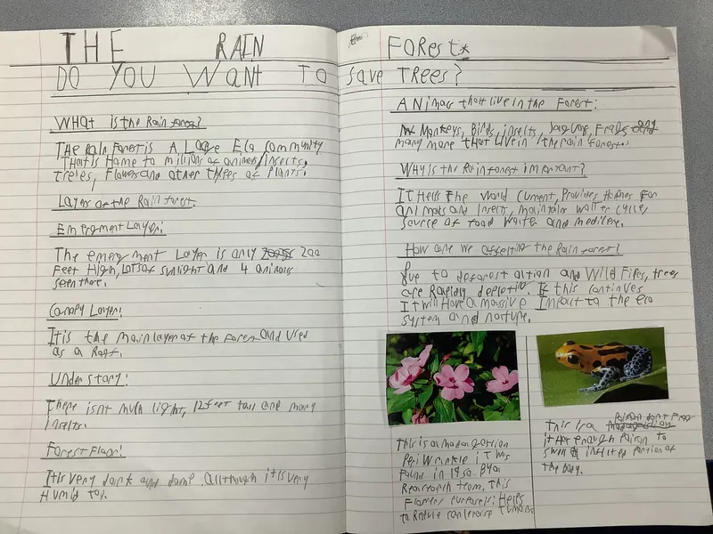 Gallery - created at 2021-04-26 21:31:33 - image 13 Gallery - created at 2021-04-26 21:31:33 - image 13