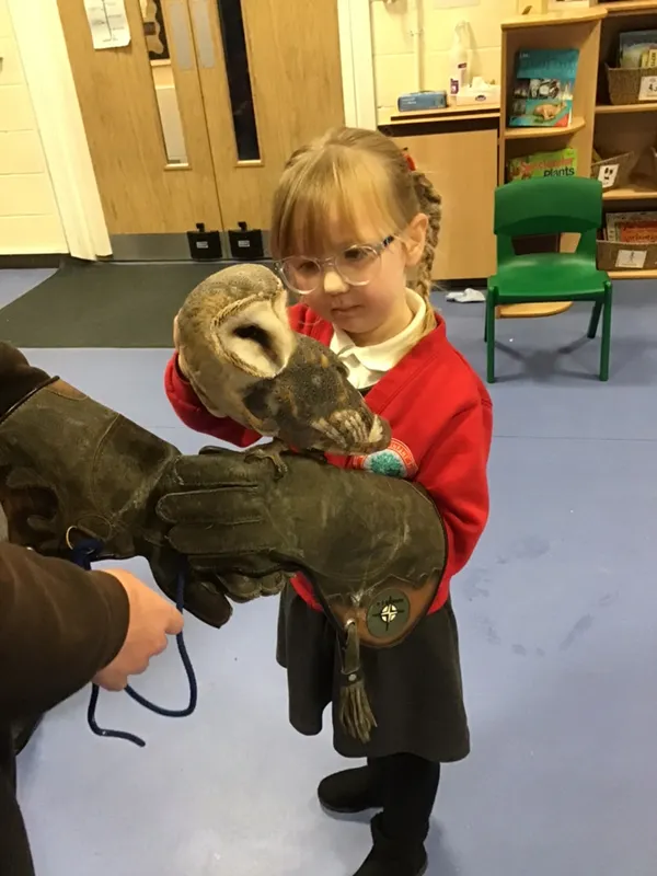 birds of prey year 1 25 - image 3 birds of prey year 1 25 - image 3