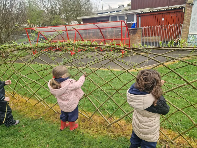 Forest School - image 7