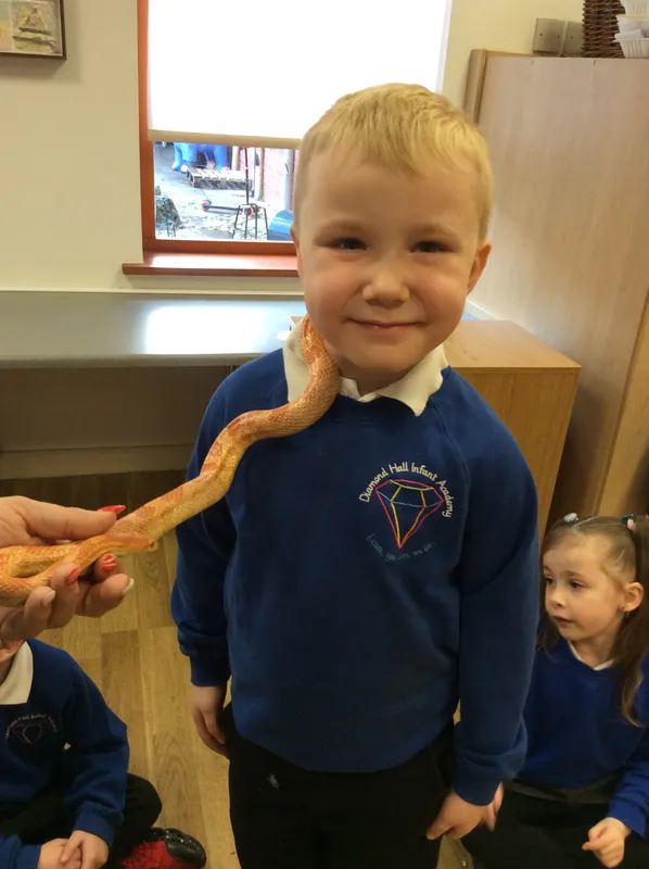 Gallery - created at 2024-02-26 17:15:57 - image 43 Gallery - created at 2024-02-26 17:15:57 - image 43