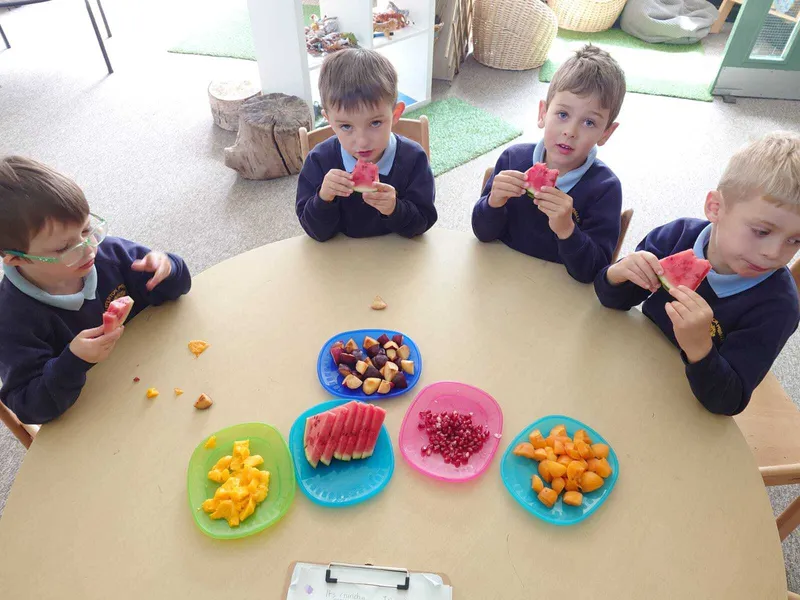The Very Hungry Caterpillar Fruit Tasting - image 17 The Very Hungry Caterpillar Fruit Tasting - image 17