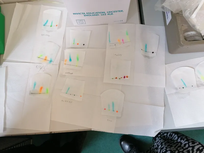 Gallery - created at 2021-03-14 14:39:05 - image 12