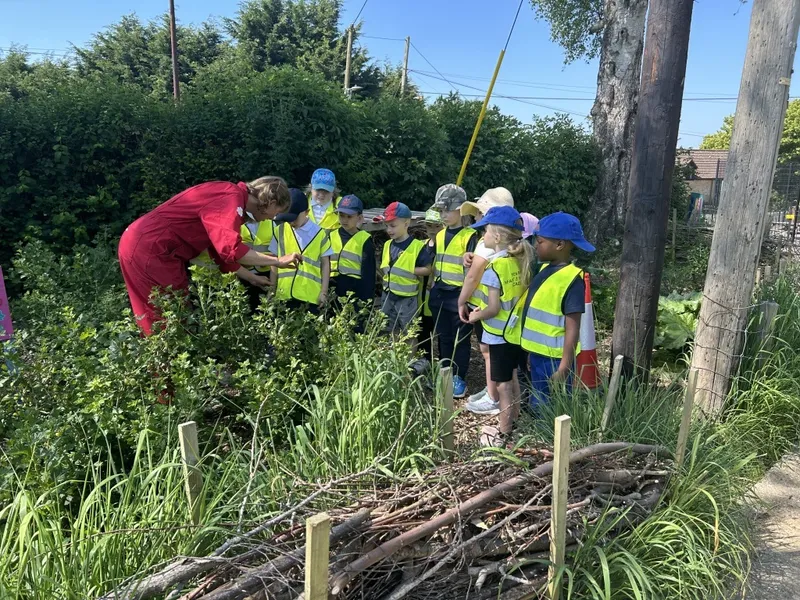 Gallery - created at 2025-11-25 11:17:20 - image 9