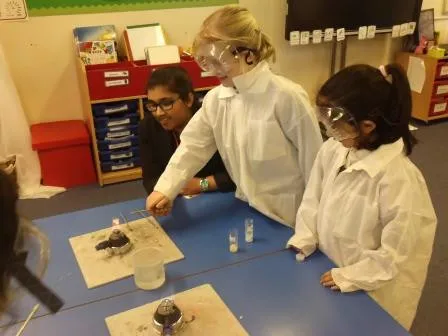 Gallery - created at 2018-01-17 17:01:08 - image 11